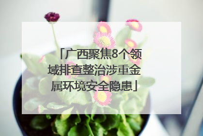 广西聚焦8个领域排查整治涉重金属环境安全隐患