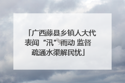 广西藤县乡镇人大代表闻“汛”而动 监督疏通水渠解民忧