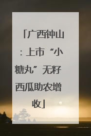 广西钟山：上市“小糖丸”无籽西瓜助农增收
