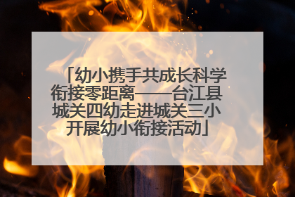 幼小携手共成长科学衔接零距离——台江县城关四幼走进城关三小开展幼小衔接活动