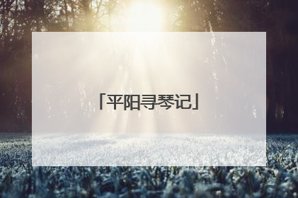 平阳寻琴记