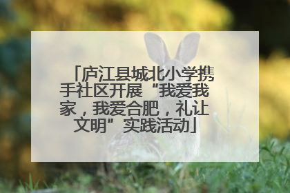 庐江县城北小学携手社区开展“我爱我家，我爱合肥，礼让文明”实践活动