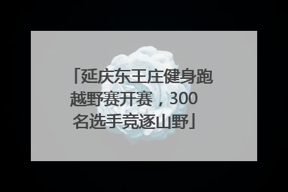 延庆东王庄健身跑越野赛开赛，300名选手竞逐山野