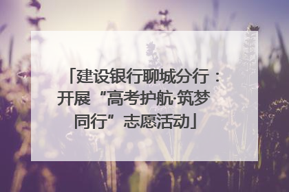 建设银行聊城分行：开展“高考护航·筑梦同行”志愿活动