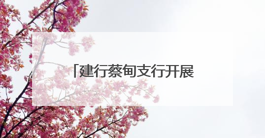 建行蔡甸支行开展防范非法金融暨普及金融知识系列活动