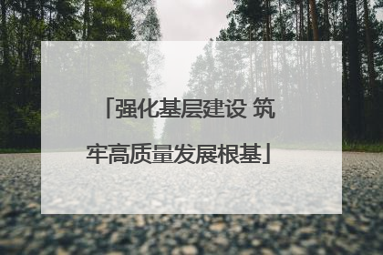 强化基层建设 筑牢高质量发展根基
