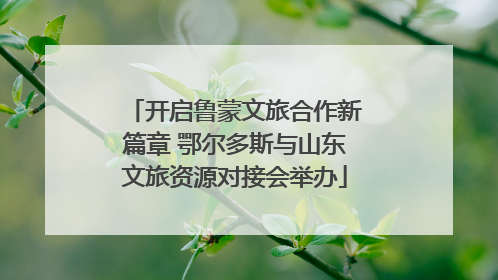 开启鲁蒙文旅合作新篇章 鄂尔多斯与山东文旅资源对接会举办