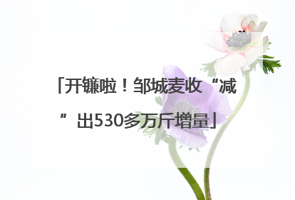 开镰啦！邹城麦收“减”出530多万斤增量