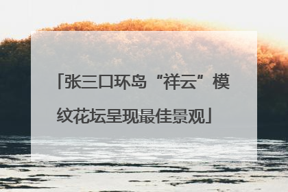 张三口环岛“祥云”模纹花坛呈现最佳景观