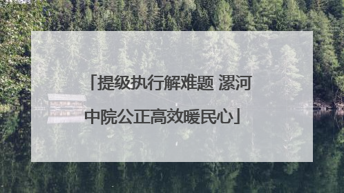 提级执行解难题 漯河中院公正高效暖民心