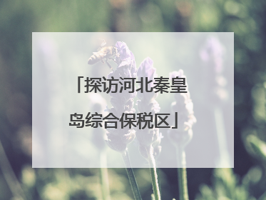 探访河北秦皇岛综合保税区