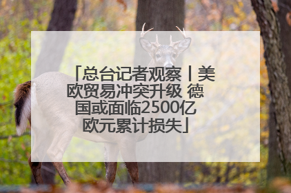 总台记者观察丨美欧贸易冲突升级 德国或面临2500亿欧元累计损失
