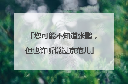 您可能不知道张鹏，但也许听说过京范儿