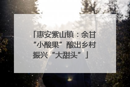 惠安紫山镇：余甘“小酸果”酿出乡村振兴“大甜头”