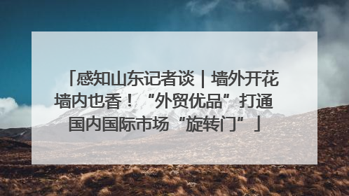 感知山东记者谈｜墙外开花墙内也香！“外贸优品”打通国内国际市场“旋转门”