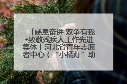 感恩奋进 双争有我•致敬残疾人工作先进集体丨河北省青年志愿者中心（“小橘灯”助残接力计划实施团队）：用温暖陪伴，守护特殊孩子成长