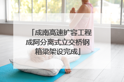 成南高速扩容工程成阿分离式立交桥钢箱梁架设完成