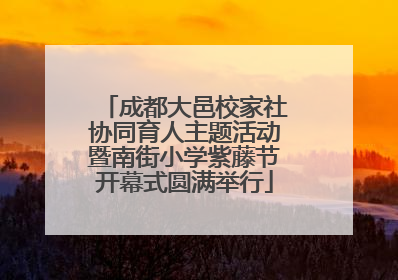成都大邑校家社协同育人主题活动暨南街小学紫藤节开幕式圆满举行