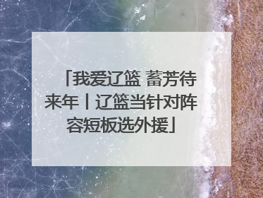 我爱辽篮 蓄芳待来年丨辽篮当针对阵容短板选外援
