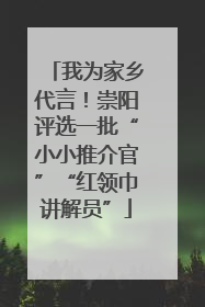 我为家乡代言！崇阳评选一批“小小推介官”“红领巾讲解员”