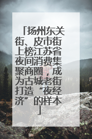 扬州东关街、皮市街上榜江苏省夜间消费集聚商圈，成为古城老街打造“夜经济”的样本