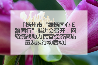 扬州市“绿扬同心·E路同行”推进会召开，网络统战助力民营经济高质量发展行动启动