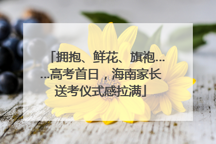 拥抱、鲜花、旗袍……高考首日，海南家长送考仪式感拉满