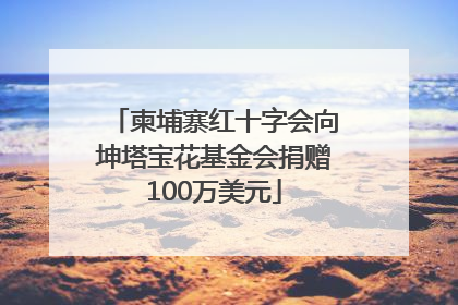 柬埔寨红十字会向坤塔宝花基金会捐赠100万美元