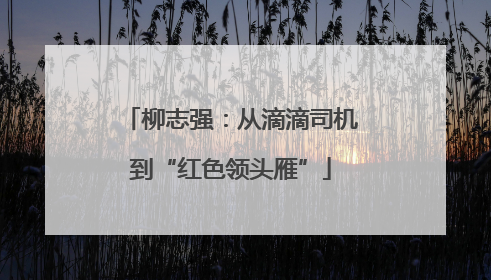 柳志强：从滴滴司机到“红色领头雁”