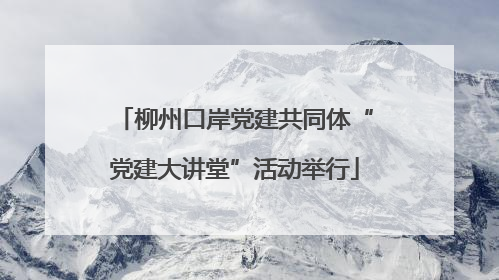 柳州口岸党建共同体“党建大讲堂”活动举行