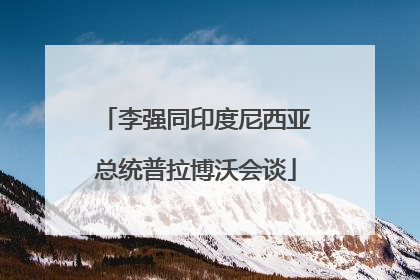 李强同印度尼西亚总统普拉博沃会谈
