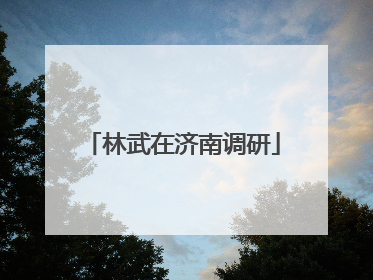 林武在济南调研