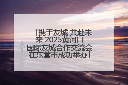 携手友城 共赴未来 2025黄河口国际友城合作交流会在东营市成功举办