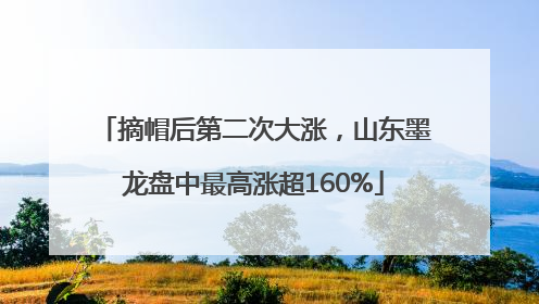 摘帽后第二次大涨，山东墨龙盘中最高涨超160%