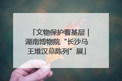 文物保护看基层｜湖南博物院“长沙马王堆汉墓陈列”展