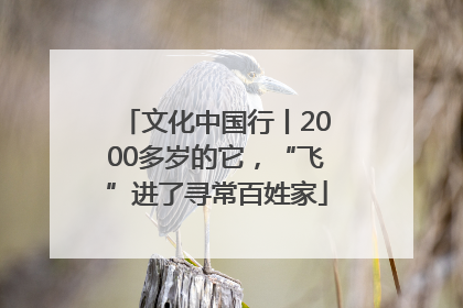 文化中国行丨2000多岁的它，“飞”进了寻常百姓家