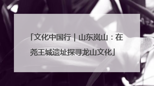 文化中国行｜山东岚山：在尧王城遗址探寻龙山文化