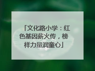 文化路小学：红色基因薪火传，榜样力量润童心
