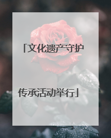 文化遗产守护传承活动举行