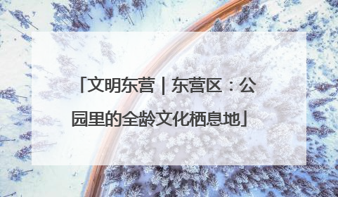 文明东营｜东营区：公园里的全龄文化栖息地