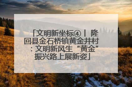 文明新坐标④丨 隆回县金石桥镇黄金井村：文明新风生“黄金” 振兴路上展新姿