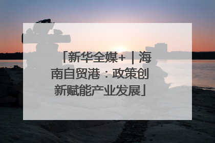 新华全媒+｜海南自贸港：政策创新赋能产业发展