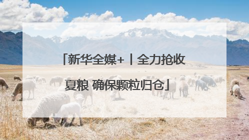 新华全媒+丨全力抢收夏粮 确保颗粒归仓
