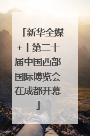 新华全媒+丨第二十届中国西部国际博览会在成都开幕