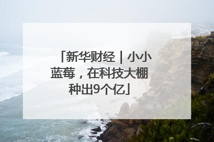 新华财经｜小小蓝莓，在科技大棚种出9个亿