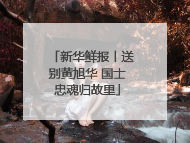 新华鲜报丨送别黄旭华 国士忠魂归故里