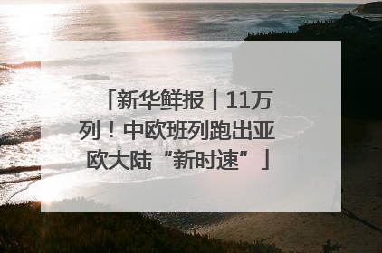 新华鲜报丨11万列！中欧班列跑出亚欧大陆“新时速”