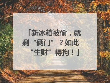 新冰箱被偷，就剩“俩门”？如此“生财”得拘！