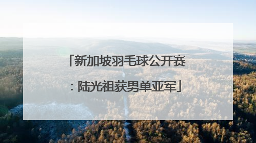新加坡羽毛球公开赛：陆光祖获男单亚军