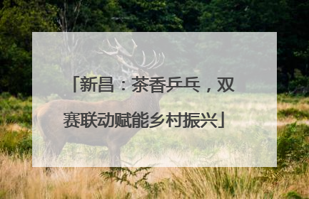 新昌：茶香乒乓，双赛联动赋能乡村振兴